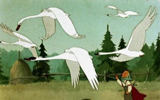 Literarische und künstlerische Analyse des russischen Volksmärchens „Gänseschwäne, Gänseschwäne, fliegende Helden.“