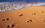 रेत के ढेर की स्वप्न व्याख्या।  आपने रेत का सपना क्यों देखा?  रंग: सोना, पीला, सफेद, काला