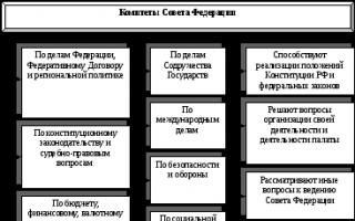 Verfassung der Russischen Föderation Die Staatsduma der Russischen Föderation führt die Innenpolitik durch